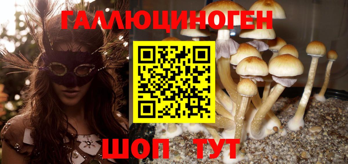 Псилоцибиновые грибы ЛСД  цены наркотик  Кудрово  Вход с VPN 